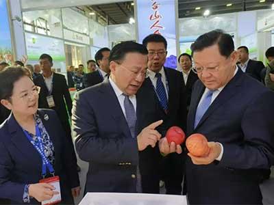 滚球买球的app官网