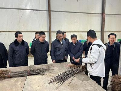 滚球买球的app官网
