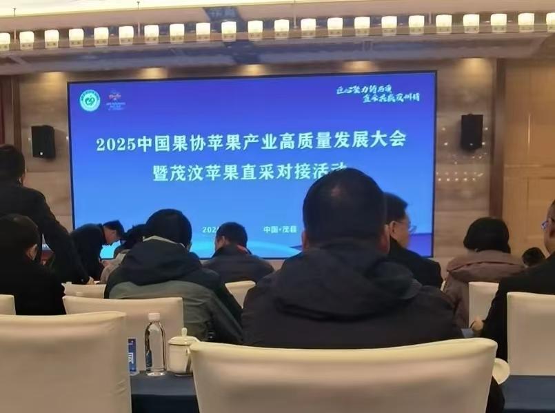 滚球买球的app官网