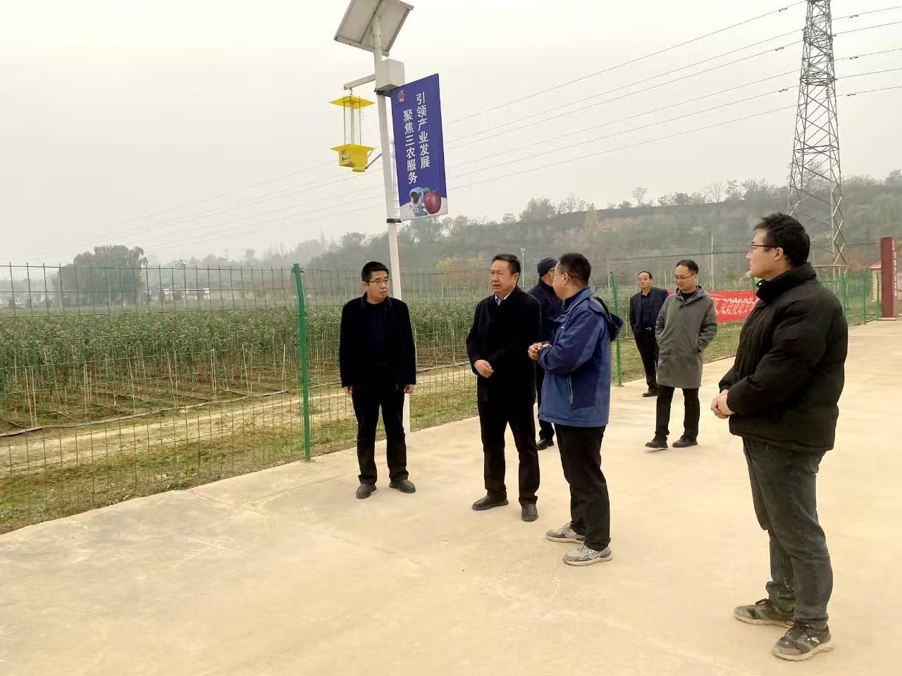 滚球买球的app官网