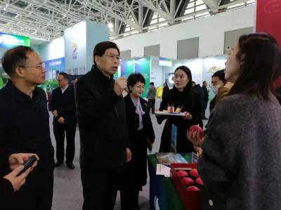 滚球买球的app官网