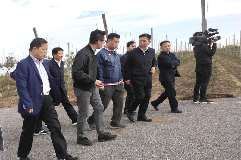 滚球买球的app官网