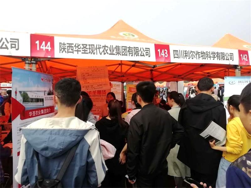 滚球买球的app官网