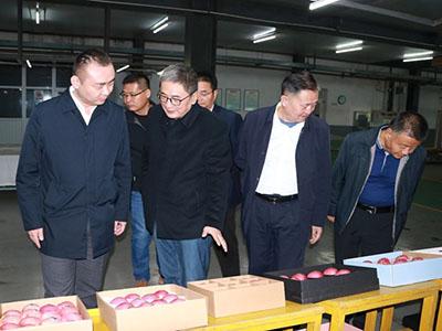 滚球买球的app官网