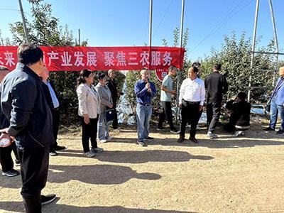 滚球买球的app官网