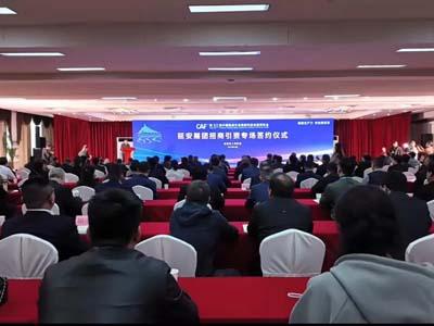 滚球买球的app官网