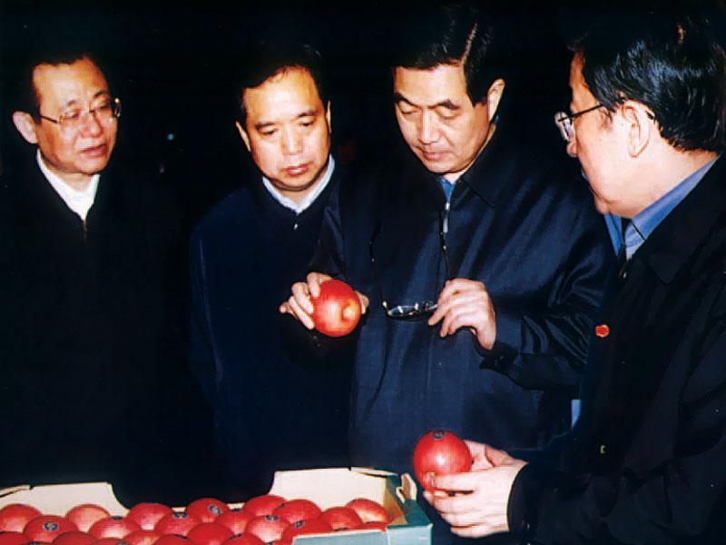 滚球买球的app官网