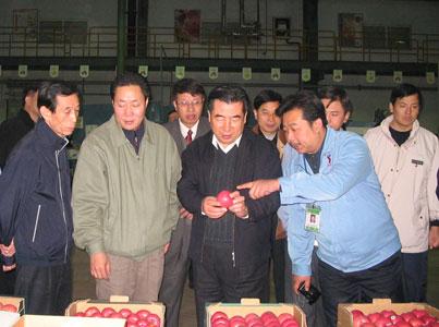 滚球买球的app官网