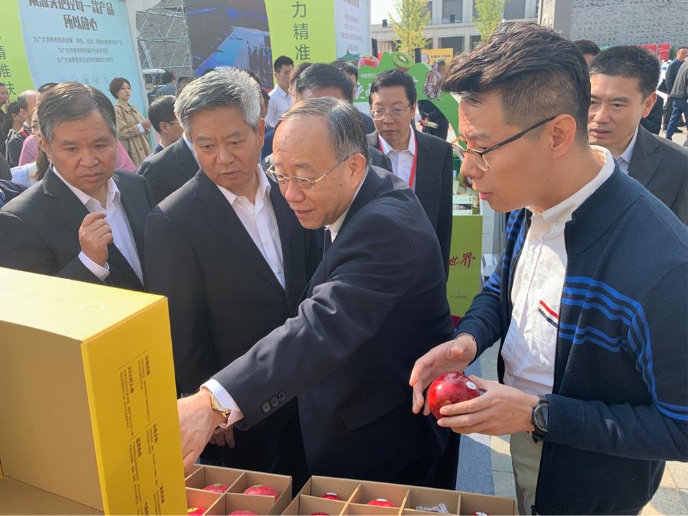 滚球买球的app官网