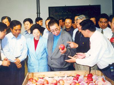 滚球买球的app官网