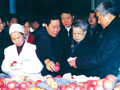 滚球买球的app官网