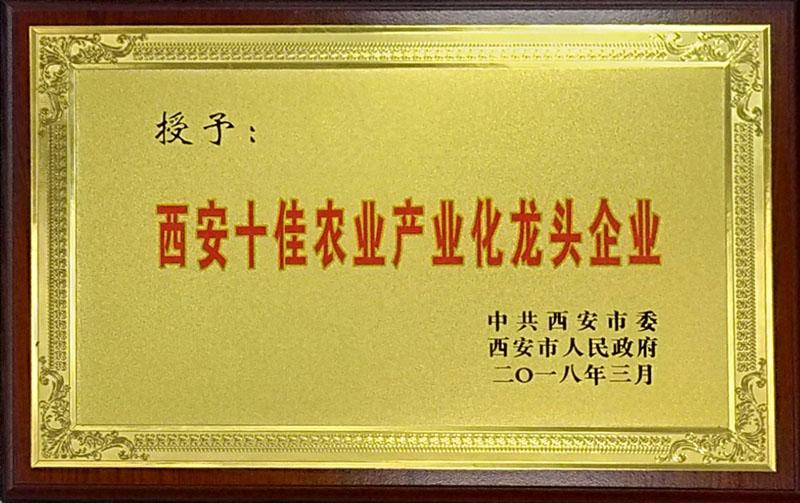 滚球买球的app官网