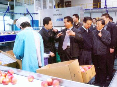 滚球买球的app官网