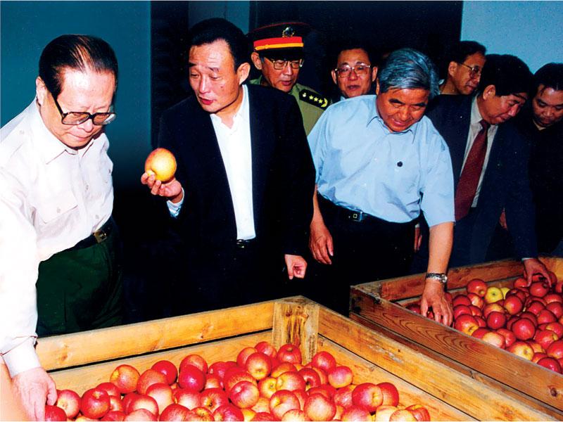 滚球买球的app官网