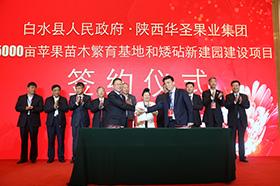 滚球买球的app官网