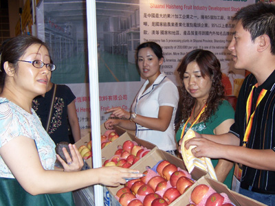 滚球买球的app官网
