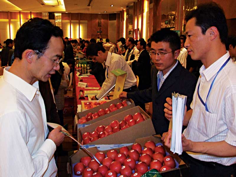 滚球买球的app官网