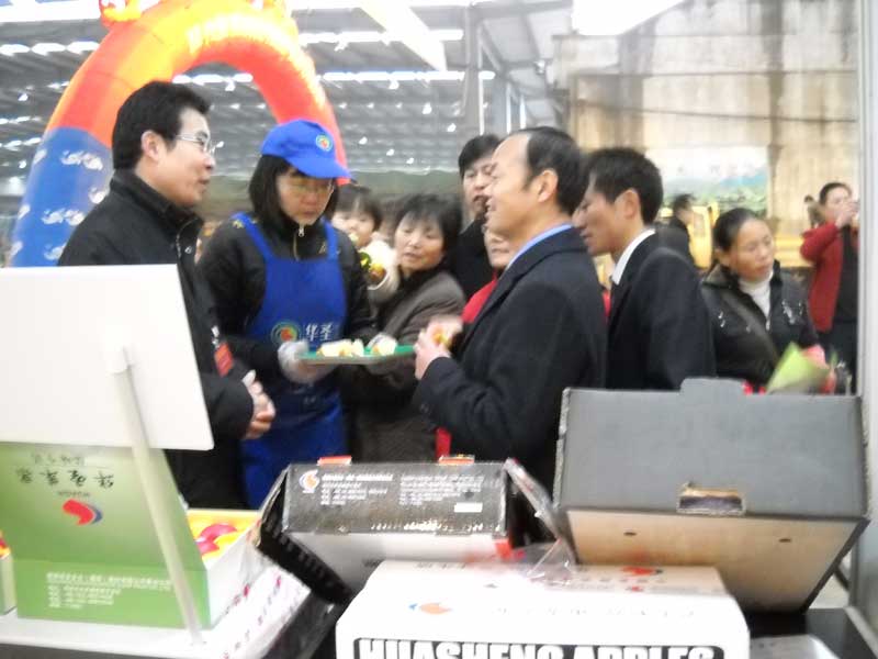 滚球买球的app官网