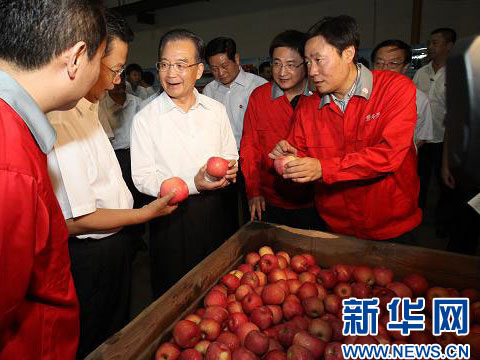 滚球买球的app官网