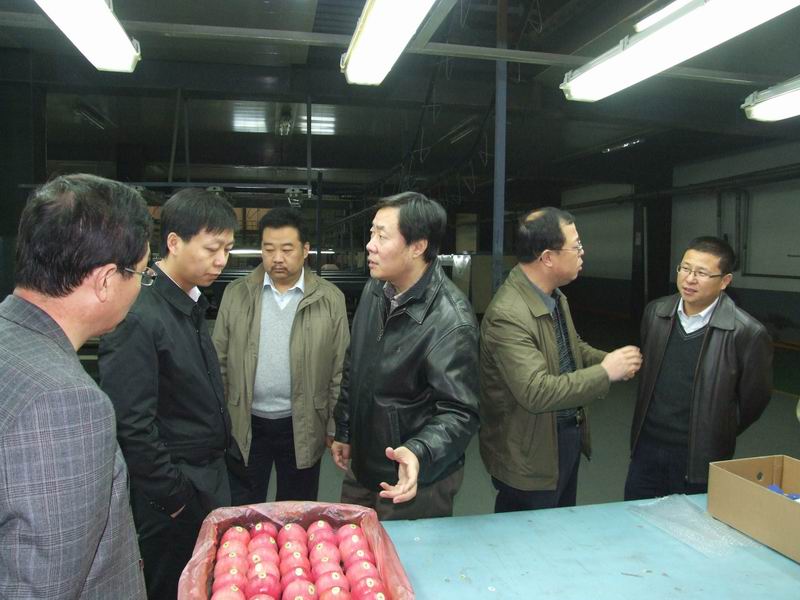 滚球买球的app官网