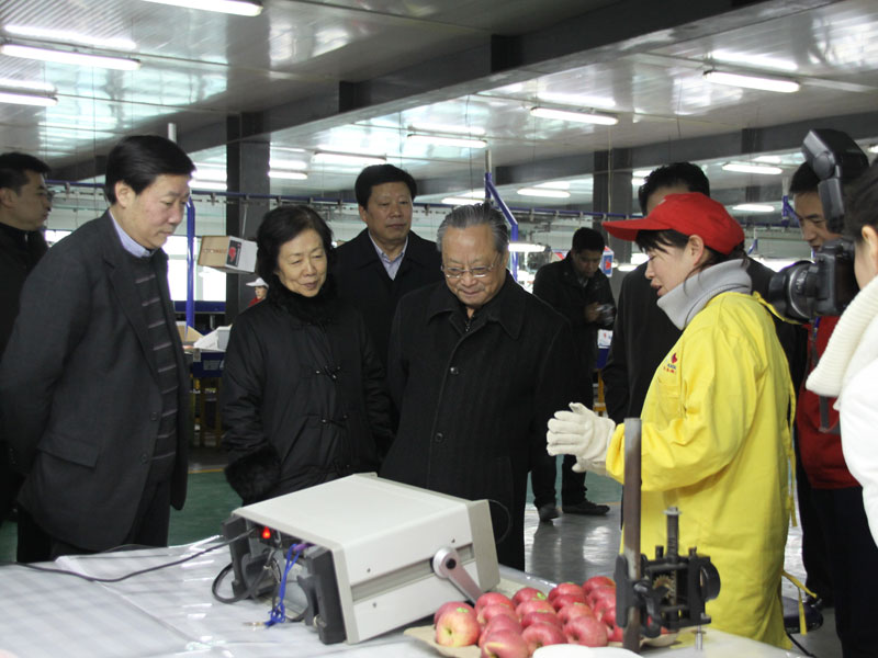 滚球买球的app官网