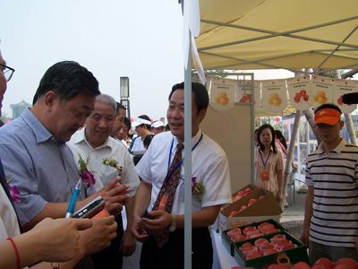 滚球买球的app官网
