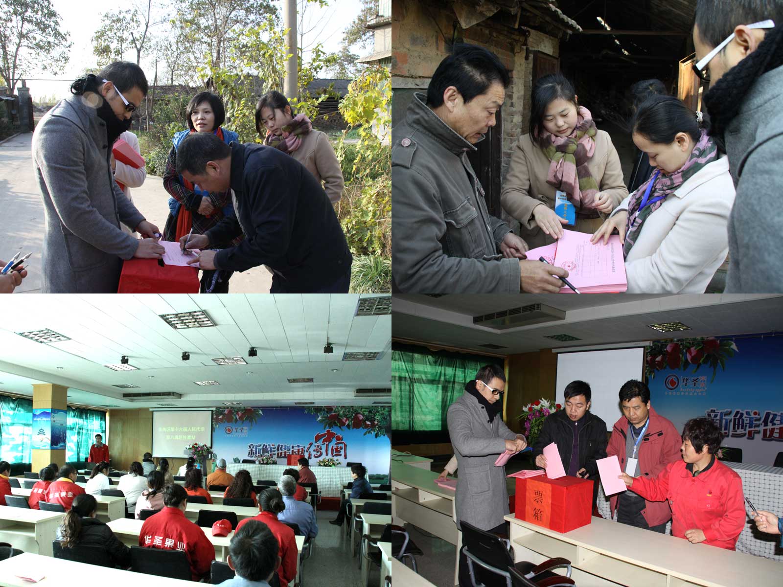 滚球买球的app官网
