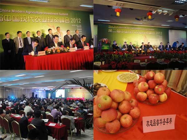 滚球买球的app官网
