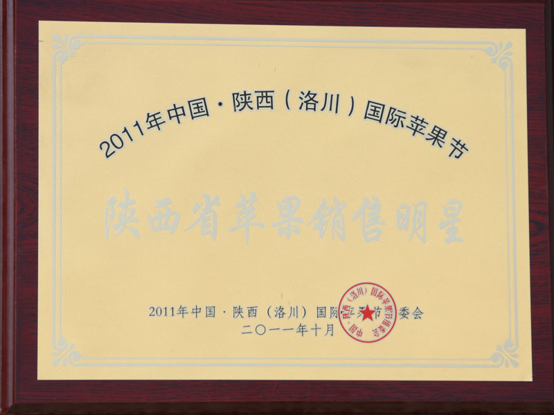 滚球买球的app官网