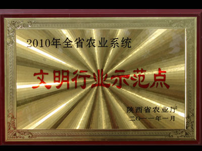 滚球买球的app官网