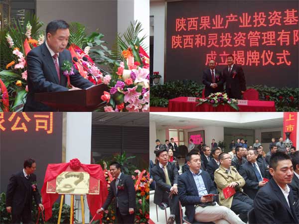 滚球买球的app官网