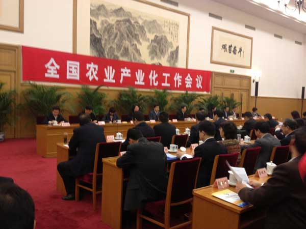 滚球买球的app官网
