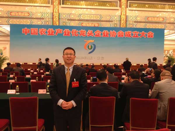 滚球买球的app官网