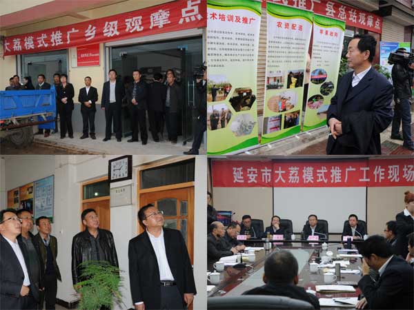 滚球买球的app官网
