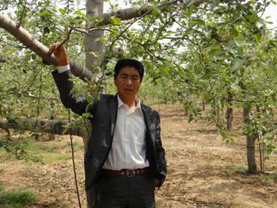 滚球买球的app官网