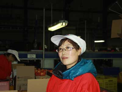 滚球买球的app官网