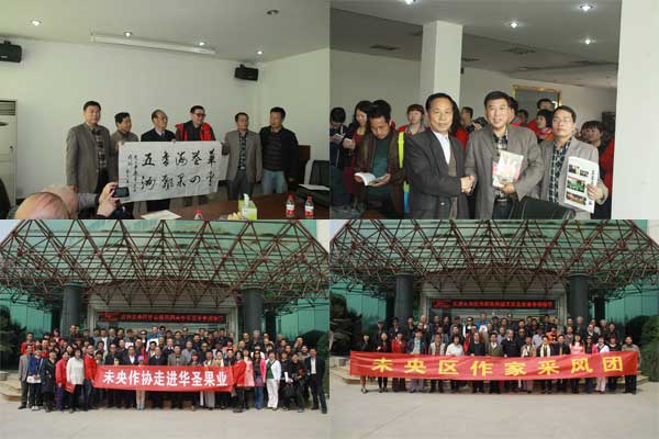 滚球买球的app官网