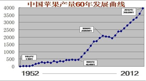 滚球买球的app官网