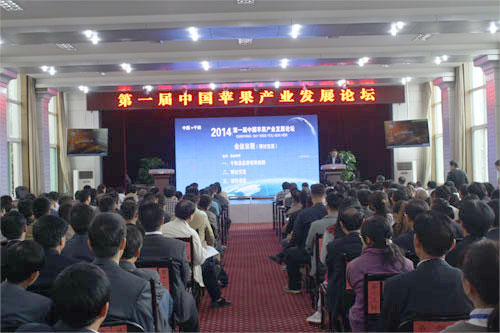滚球买球的app官网