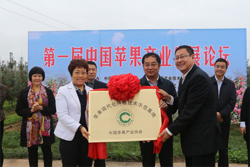 滚球买球的app官网
