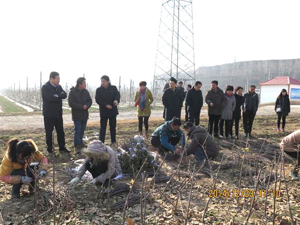 滚球买球的app官网