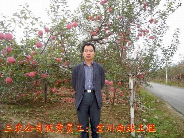 滚球买球的app官网