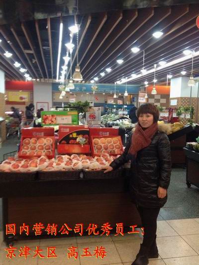 滚球买球的app官网