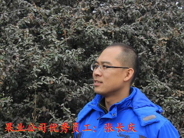 滚球买球的app官网