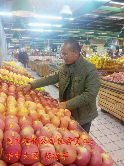 滚球买球的app官网