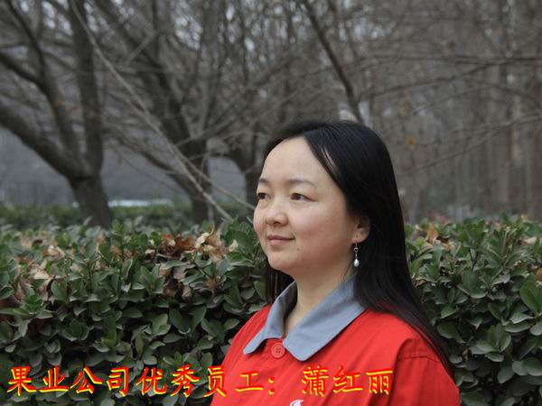 滚球买球的app官网