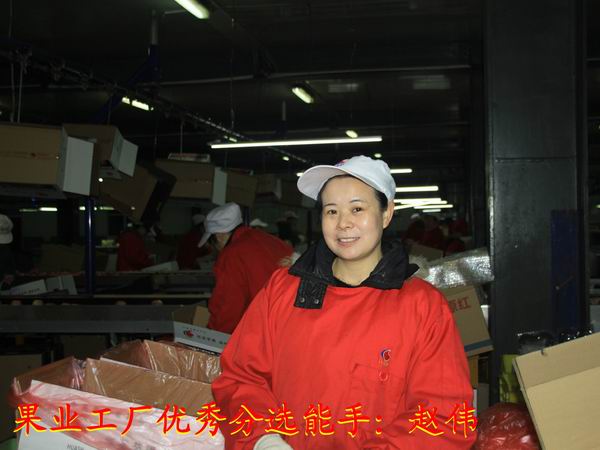 滚球买球的app官网
