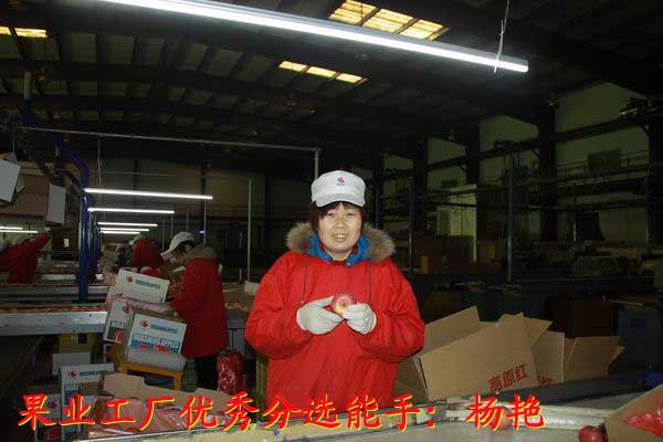 滚球买球的app官网