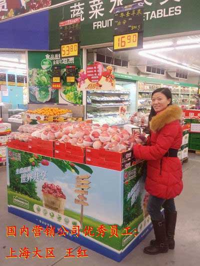 滚球买球的app官网