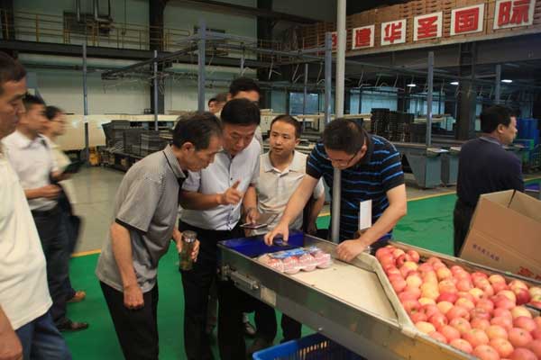 滚球买球的app官网